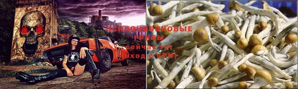 MDMA Баксан
