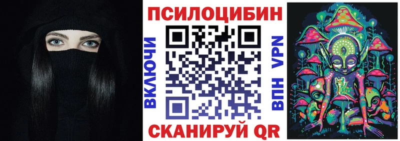 omg рабочий сайт  Сурск  Галлюциногенные грибы Psilocybine cubensis 